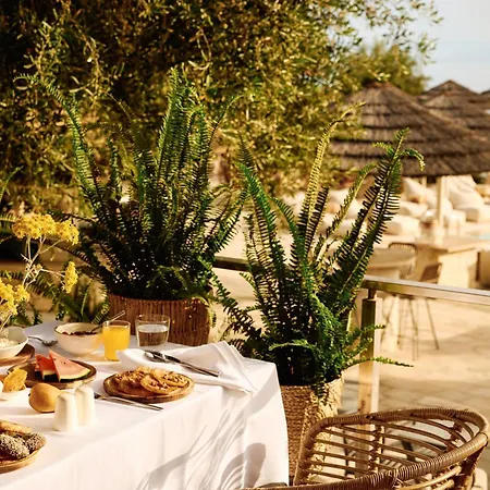 Agali Paxos 4*