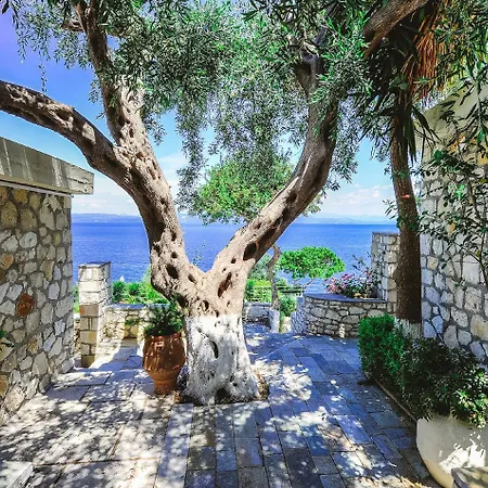 Agali Paxos Ozias